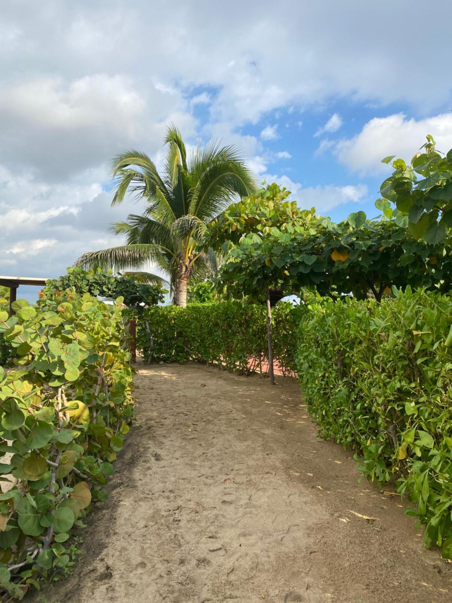 El Origen Villas & Spa-Puerto Escondido بويرتو إسكونديدو المظهر الخارجي الصورة