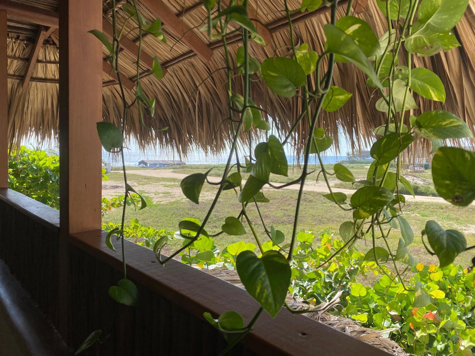 El Origen Villas & Spa-Puerto Escondido بويرتو إسكونديدو المظهر الخارجي الصورة