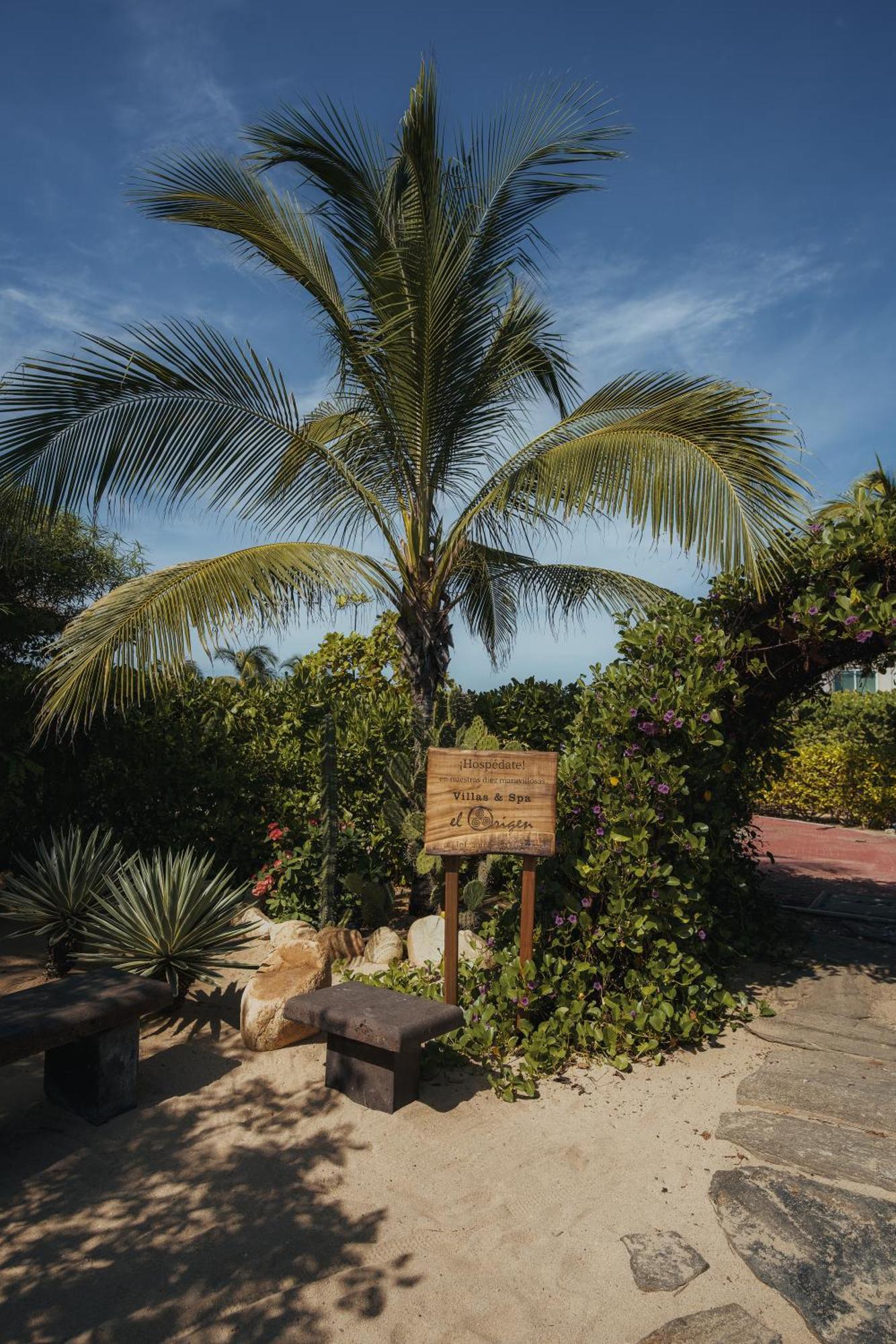 El Origen Villas & Spa-Puerto Escondido بويرتو إسكونديدو المظهر الخارجي الصورة